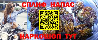СК Балашиха