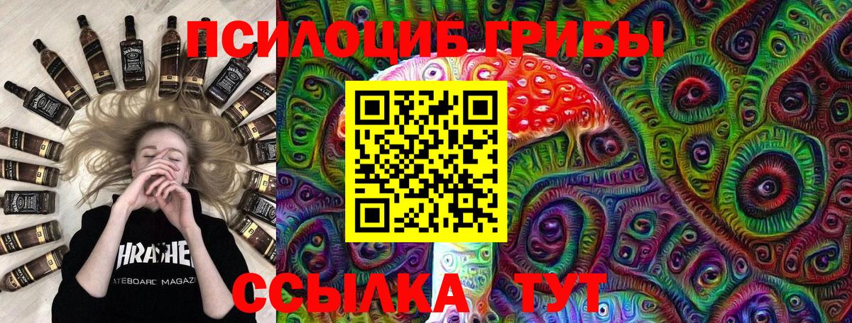 Вязьма  Псилоцибиновые грибы Psilocybe  Вход с VPN 